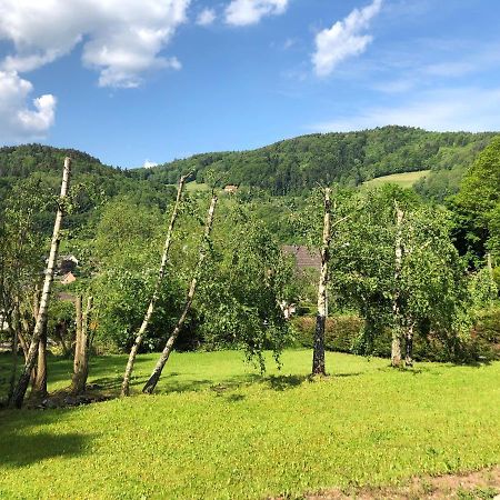 Chalet De Fréland Kültér fotó